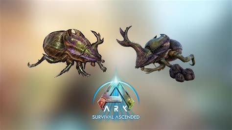 ark dung beetle locations.